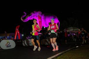 BIB: 
                            <button type="button" onclick="openModal(26543918)" class="btn btn-primary btn-sm float-right btn-popup" data-toggle="modal" data-target=".modal-high-quality">
                        <i class="fas fa-shopping-cart"></i> Add to Cart
                    </button>
                                            <button type="button" onclick="isThisMe(26543918, true)" class="btn btn-success btn-sm float-right btn-popup btn-isme hidden" data-toggle="tooltip" data-placement="bottom" title="นี่คือรูปของคุณใช่ไหม คลิกที่นี่เพื่อเอาเข้าอัลบั้ม">
                        <i class="fas fa-plus"></i> Add to album
                    </button>
                    <button type="button" onclick="isThisMe(26543918, false)" class="btn btn-warning btn-sm float-right btn-popup btn-isnotme hidden">
                        <i class="fas fa-ban"></i> Remove from album
                    </button>